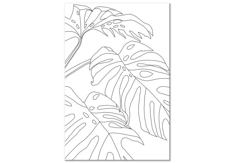 Canvas Three monstera leaves - black leaves contours on a white background