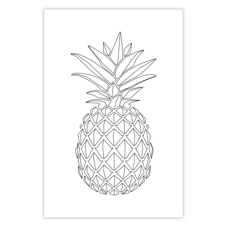 Poster Fruit Sketch - line art of tropical fruit on uniform white background
