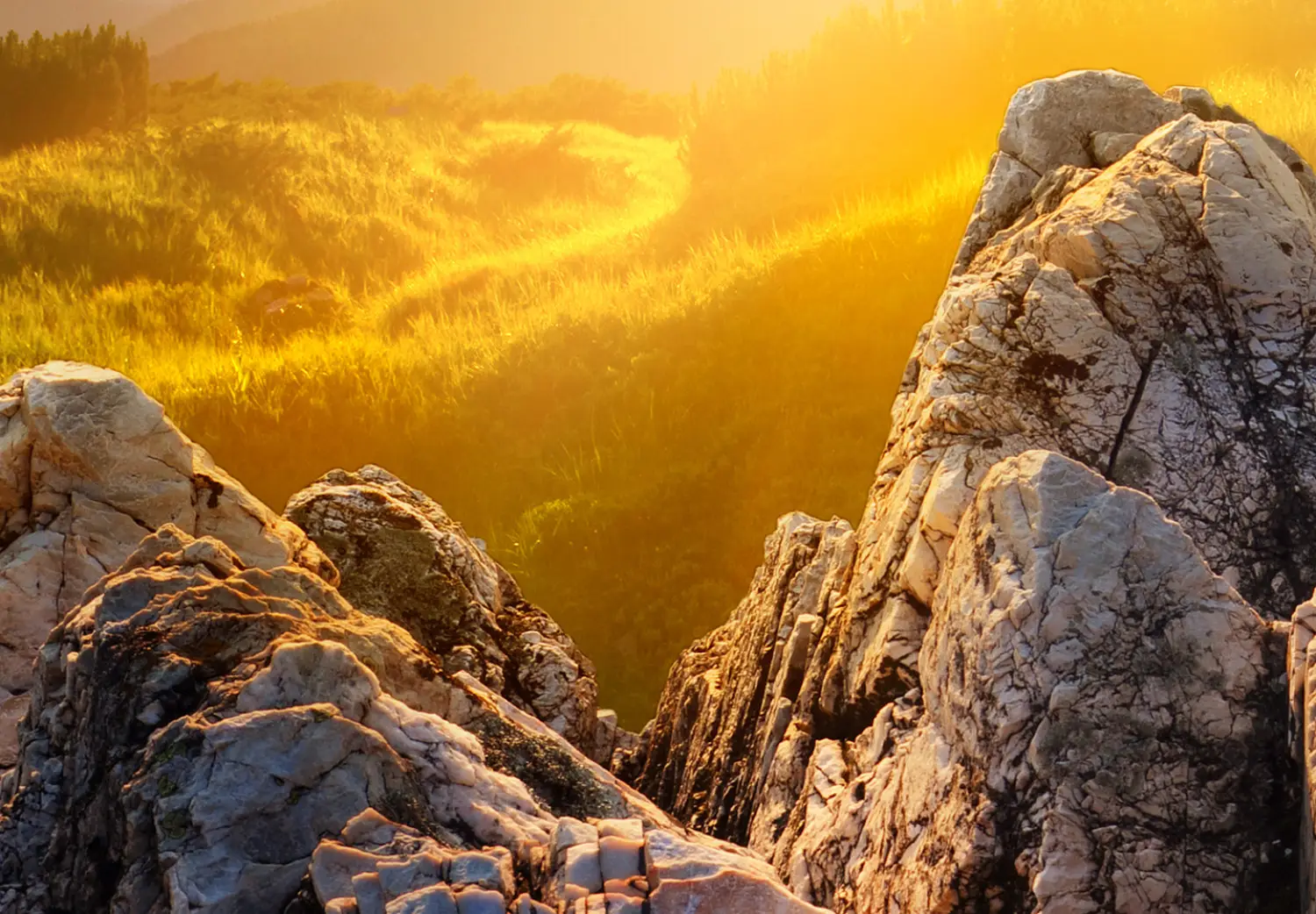 Large XXL print Summer in the Mountains - mountain landscape with