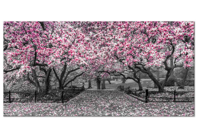 Large canvas print Magnolia Park - Pink II [Large Format]
