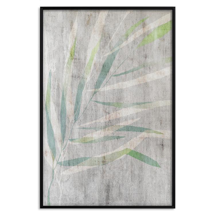Poster Chamaedorea - composition with plant motif on gray fabric texture