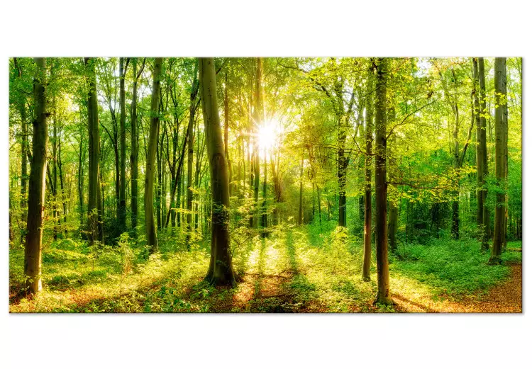 Green Magic II [Large Format]