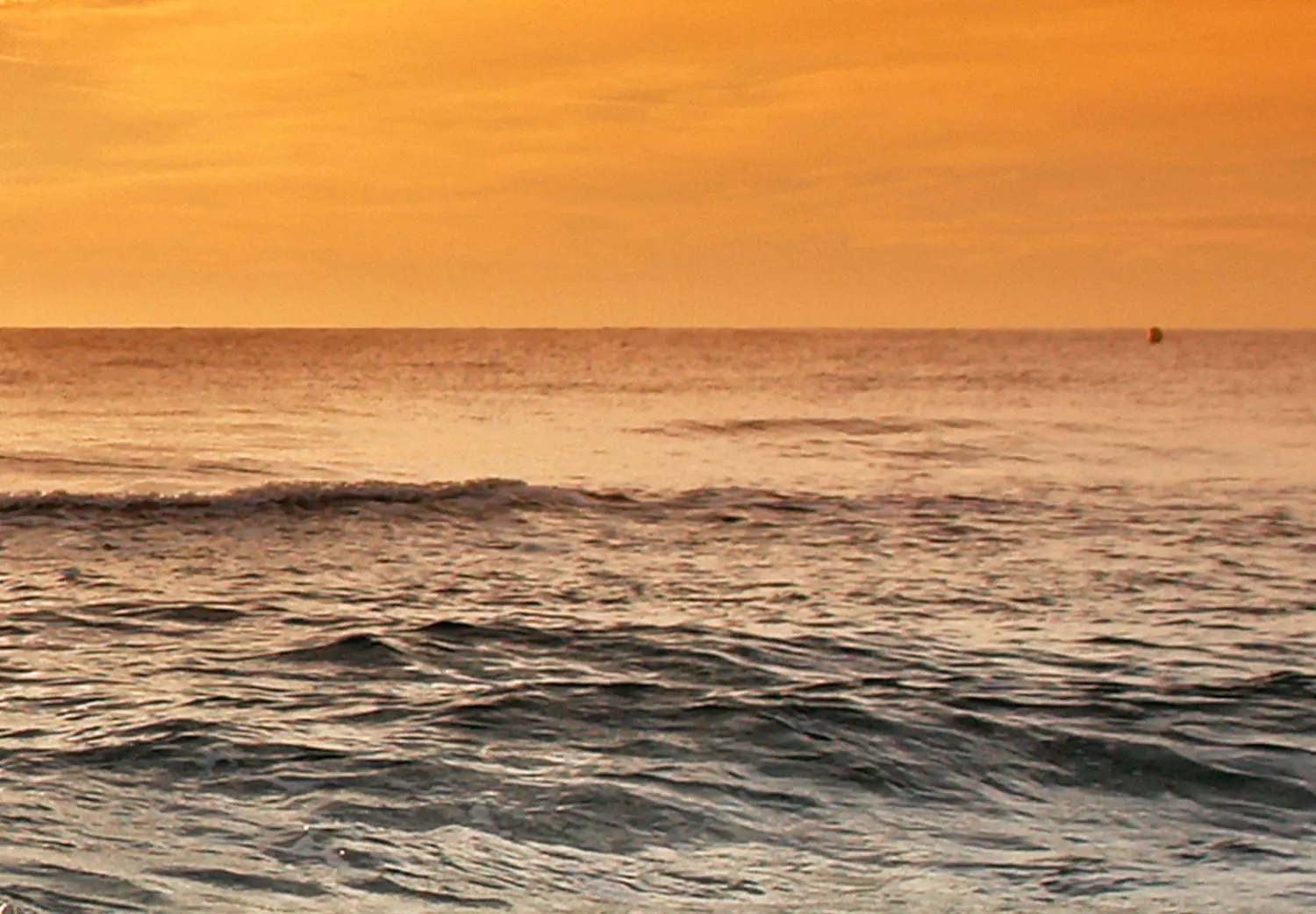 Large canvas print Calm Sea - Seascape with a sandy beach at sunset