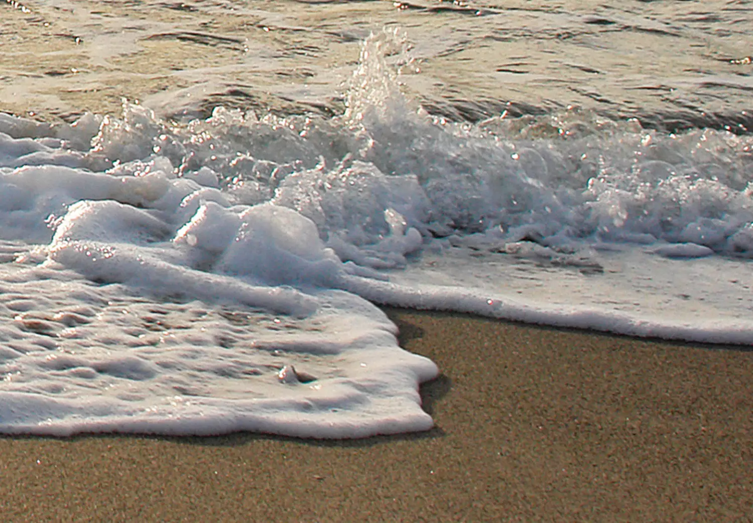 Large canvas print Calm Sea - Seascape with a sandy beach at sunset