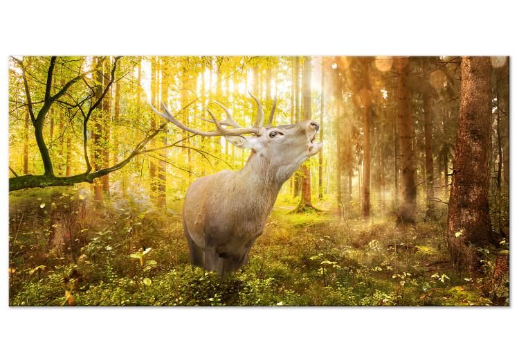 Large canvas print Roar in the Forest II [Large Format]