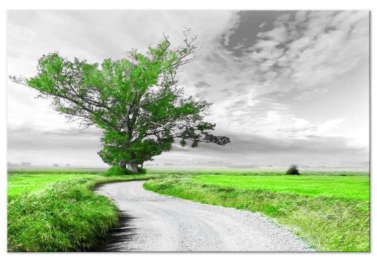 Large canvas print Tree near the Road - Green [Large Format]