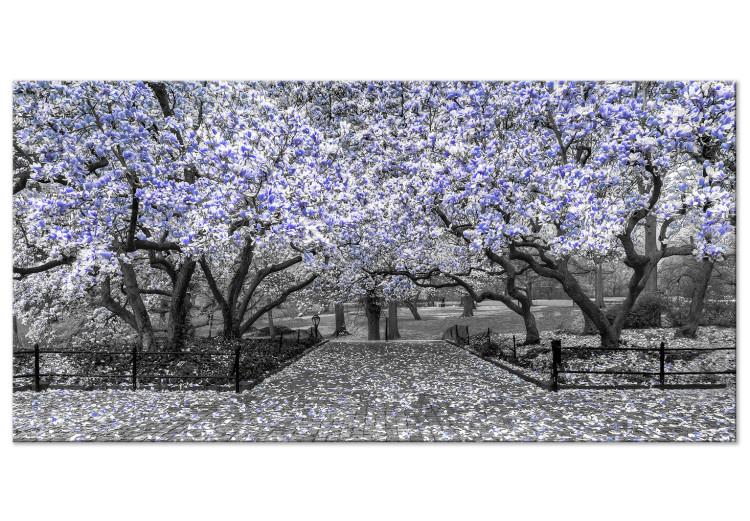 Large canvas print Magnolia Park - Violet II [Large Format]