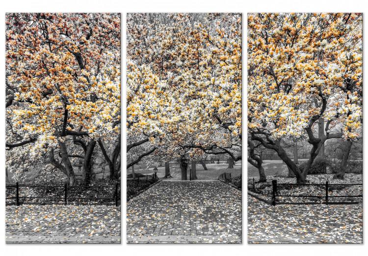 Canvas Blooming Magnolias - triptych with magnolia trees and yellow flowers