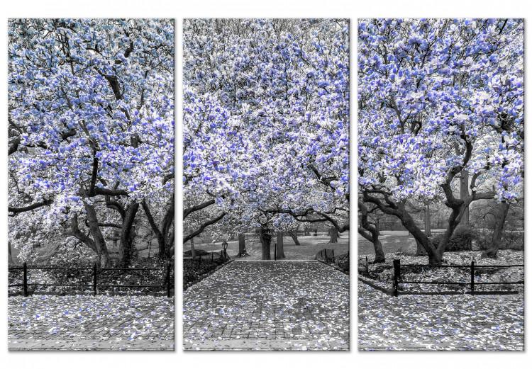 Canvas Blooming Magnolias - triptych with magnolia trees and violet flowers