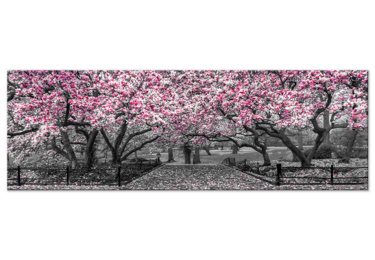 Canvas Magnolia Park (1-part) narrow - pink flowers in a gray setting
