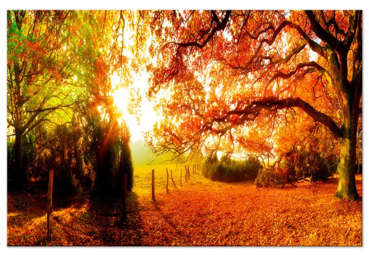 Large canvas print Enchanting Autumn [Large Format]