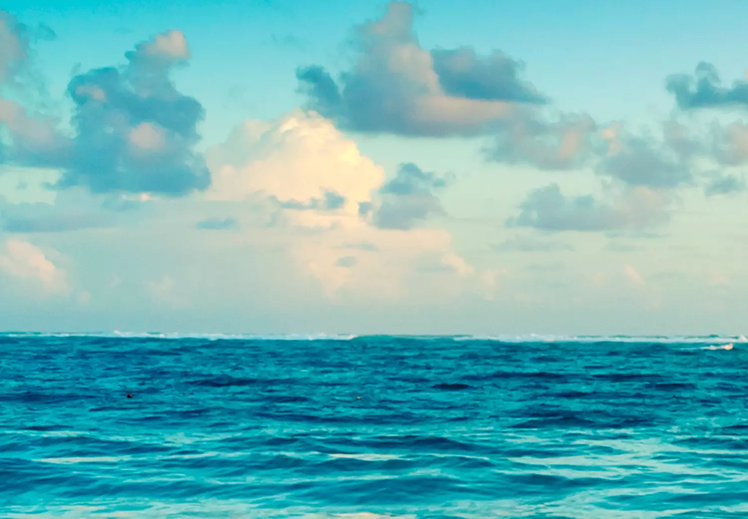 Large canvas print Beach in Punta Cana - tropical Dominican landscape with azure water