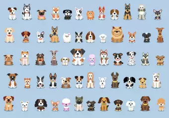 Wall Mural Happy animals - colourful dogs on a solid blue background Wallpaper Cropper