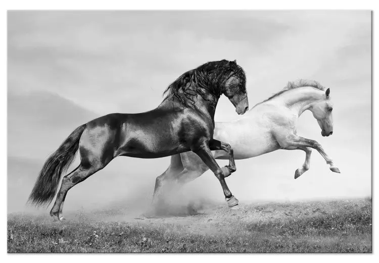 Canvas Chase (1-part) wide - black and white photo of running horses