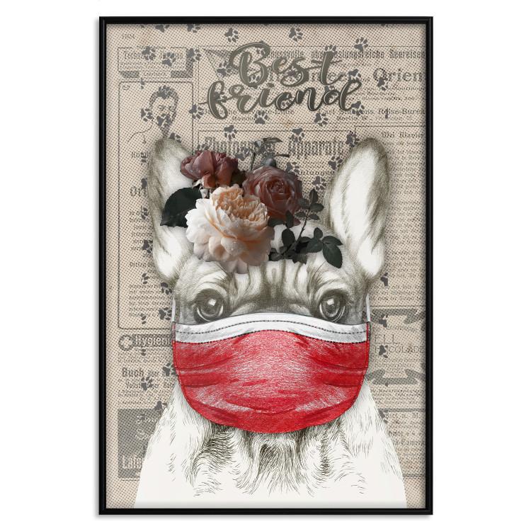 Poster Rufio - humorous fantasy with a purebred dog in a mask and text in the background
