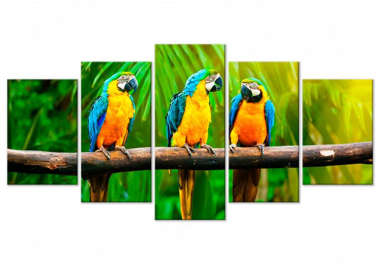 Canvas Parrot Trio (5 Parts) Wide