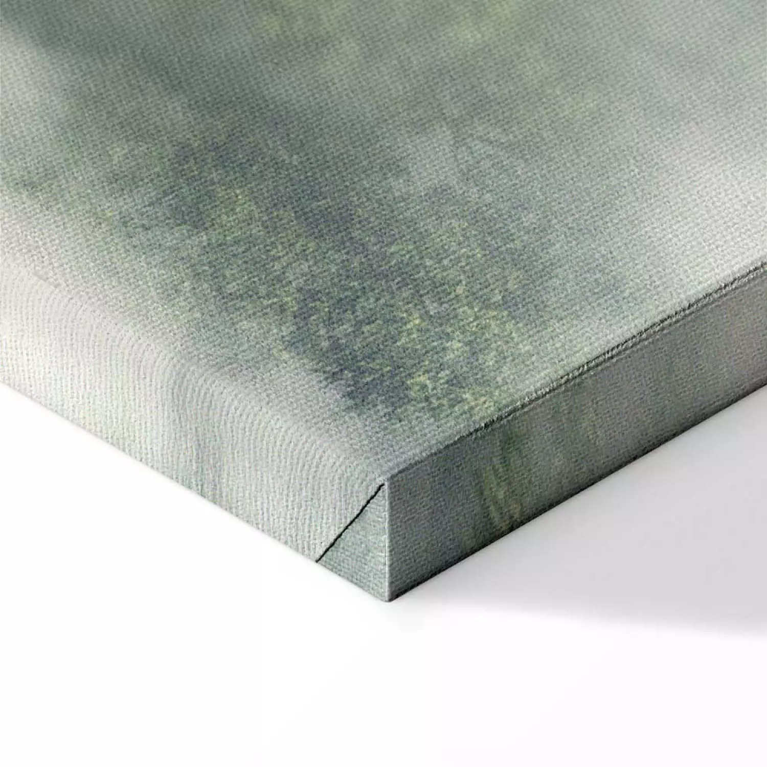 Canvas Misty Amazon wide - landscape of an exotic forest