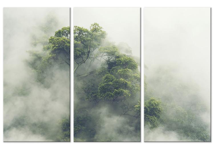 Canvas Misty Amazon (3-part) - landscape of an exotic rainforest