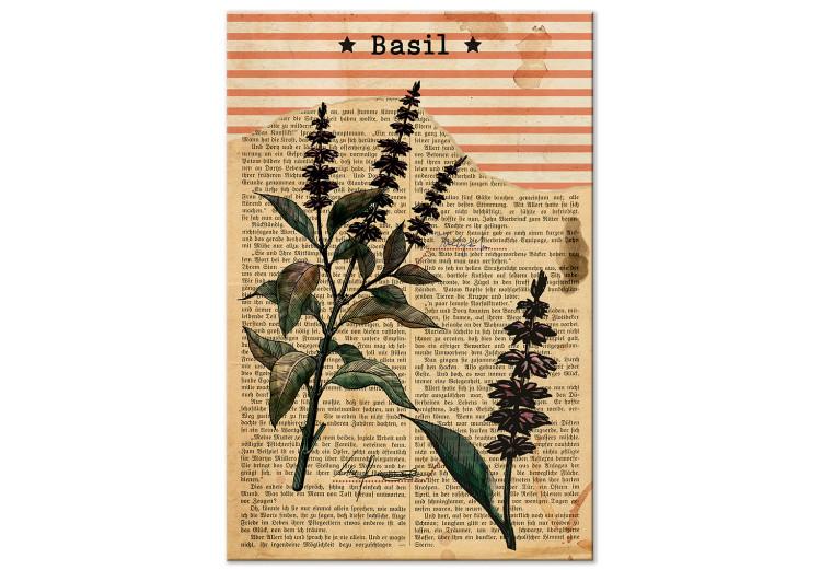 Canvas Basil Poetry (1-part) vertical - plant in vintage motif