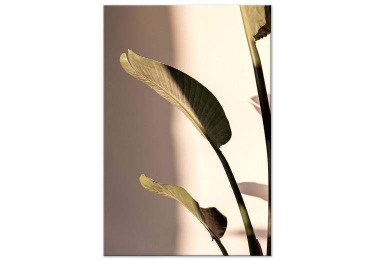 Canvas Sunny Rhythm (1-part) vertical - photograph of exotic leaves