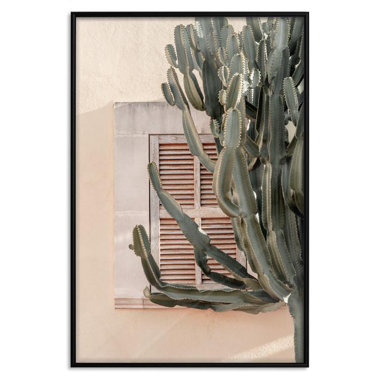 Poster Green Thorns - composition with tropical plant against architecture