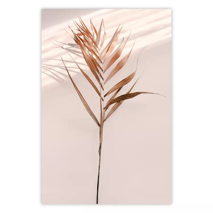 Poster Exotic Shadow - plant with brown leaves against a uniform wall