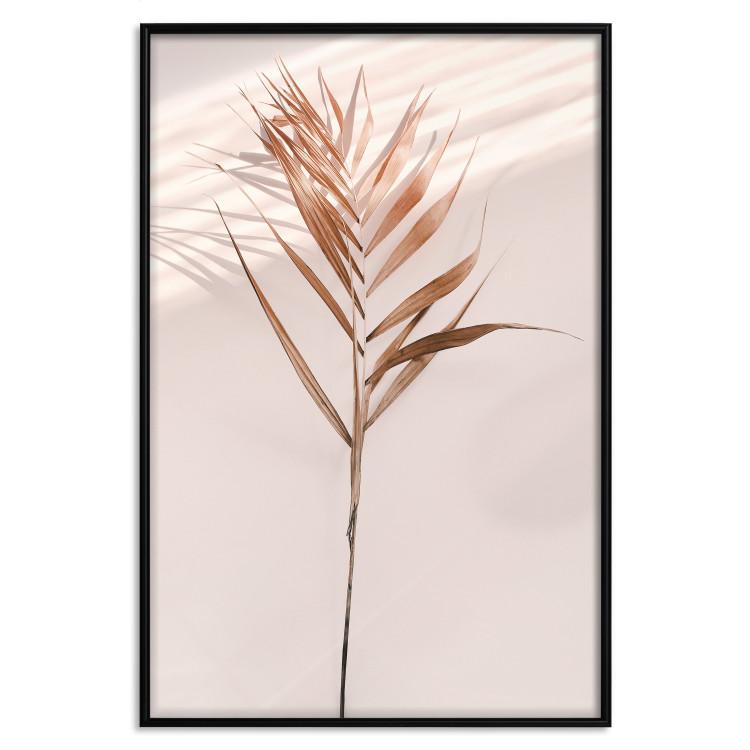 Poster Exotic Shadow - plant with brown leaves against a uniform wall