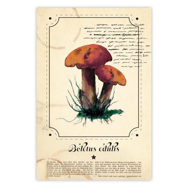 Poster Mushroom Atlas - brown mushrooms on beige background amidst black text
