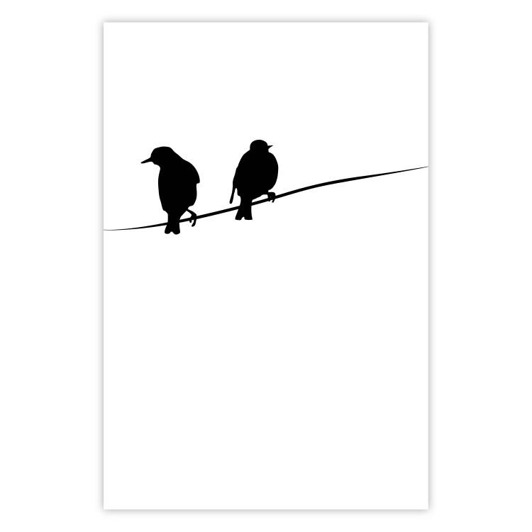 Poster Bird Chatter - birds sitting on wires on plain white background