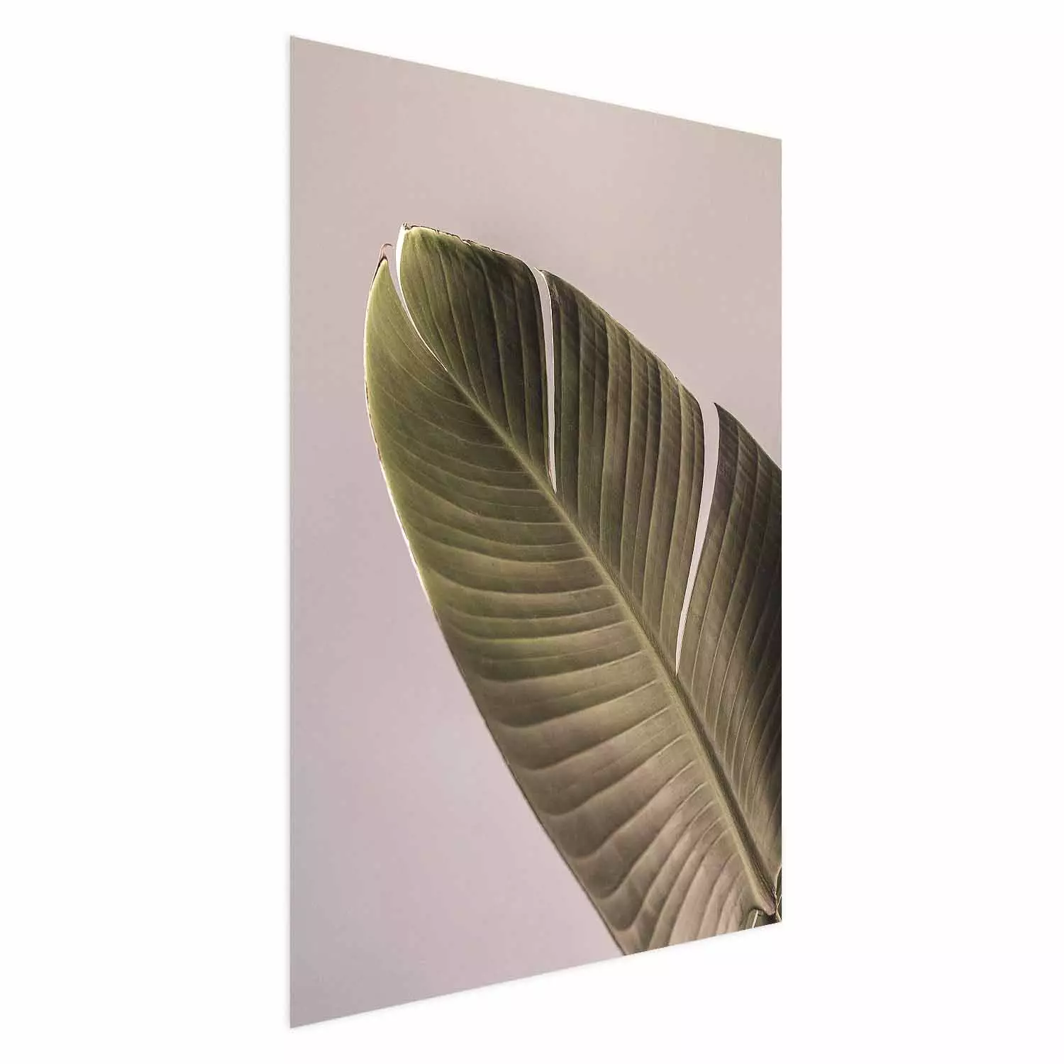 Wall Poster Banana Mood - tropical banana leaf on subtly pink background