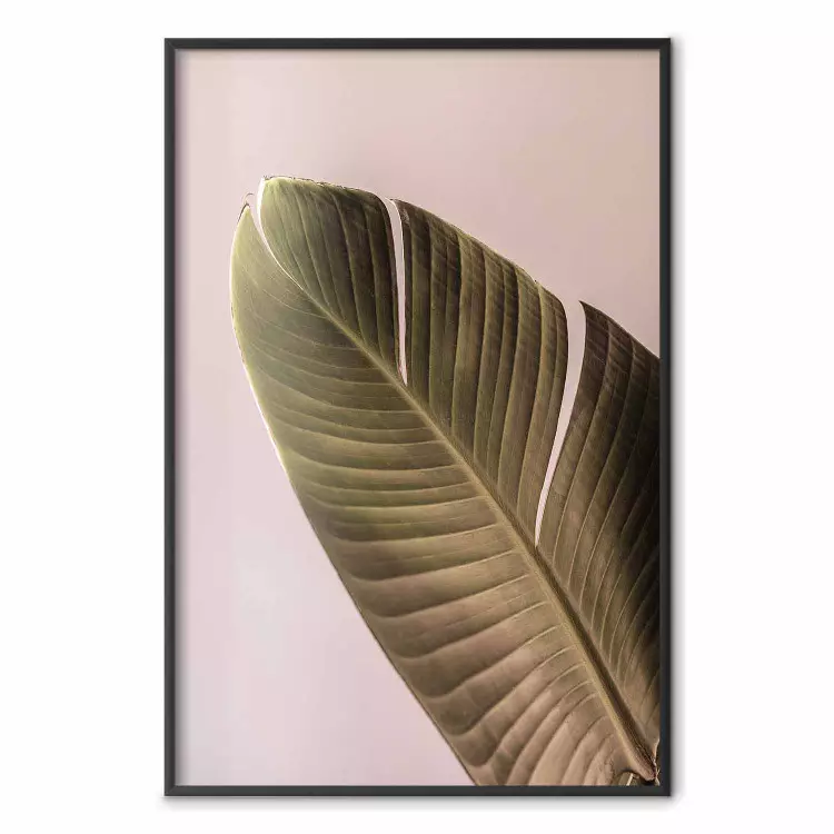 Banana Mood - tropical banana leaf on subtly pink background