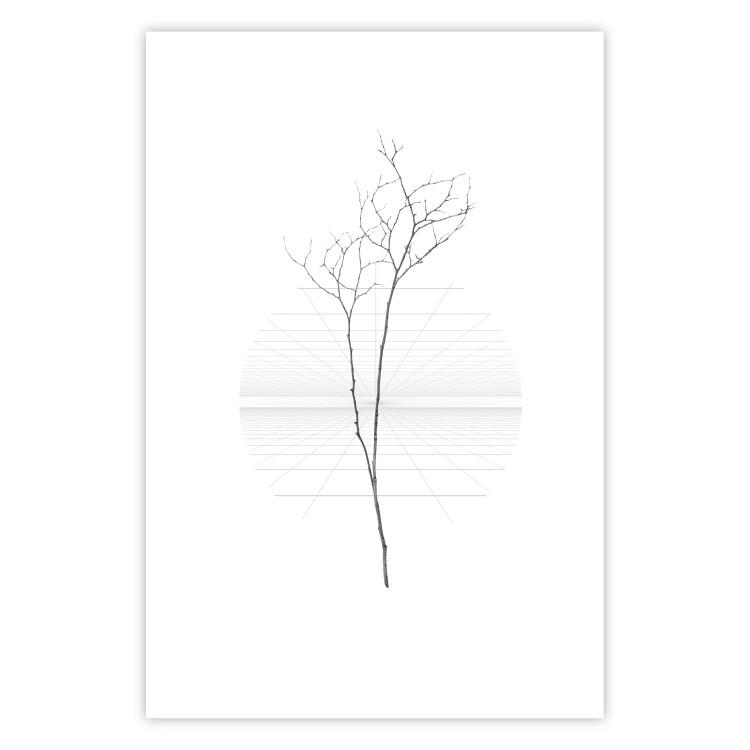 Poster Winter Twig - black and thin plant on a plain white background