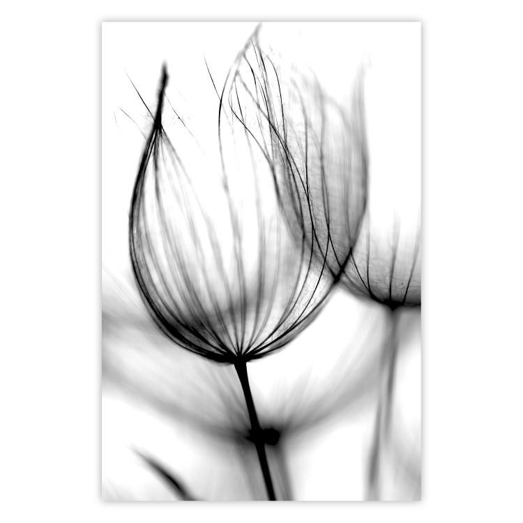 Poster Dandelion in the Wind - black dandelion flower on a contrasting background