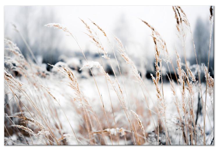 Canvas Ice Land (1-piece) Wide - meadow landscape in winter scenery