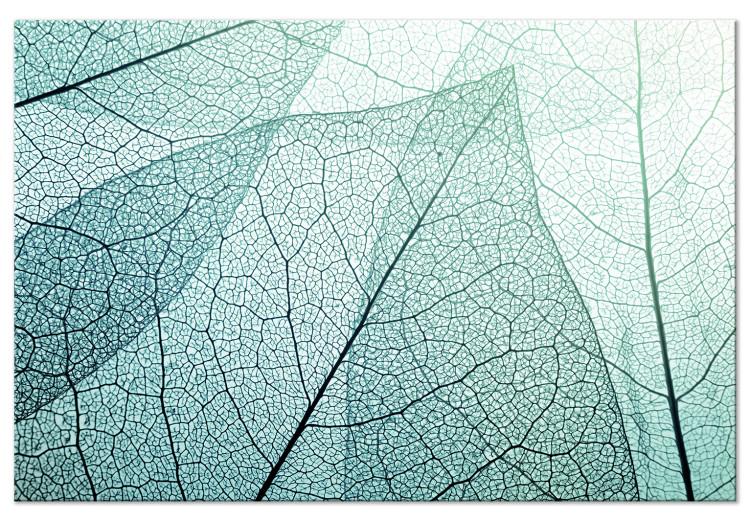 Canvas Macro Flora (1-piece) Wide - abstract close-up of a leaf