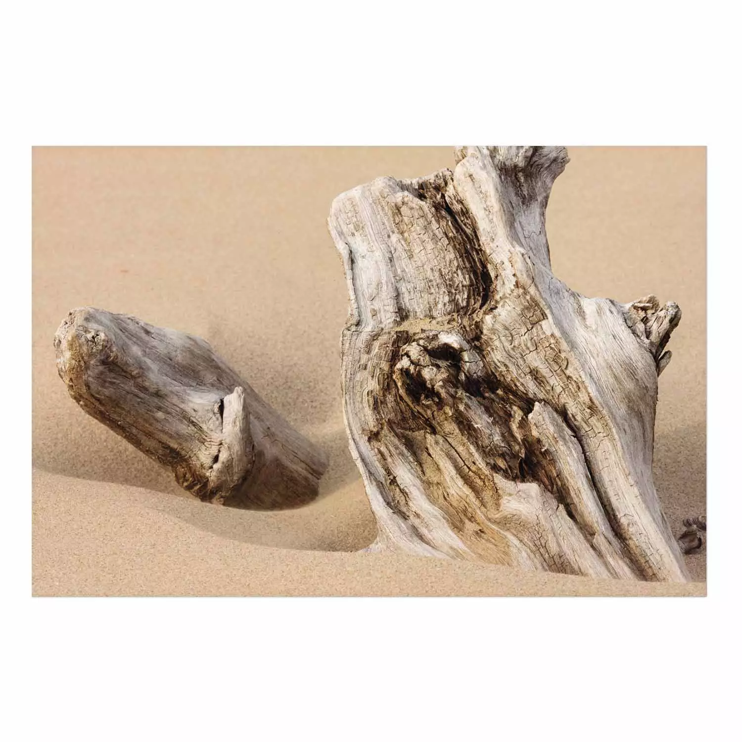 Wall Poster Uncovered Past - beach landscape with a piece of brown wood