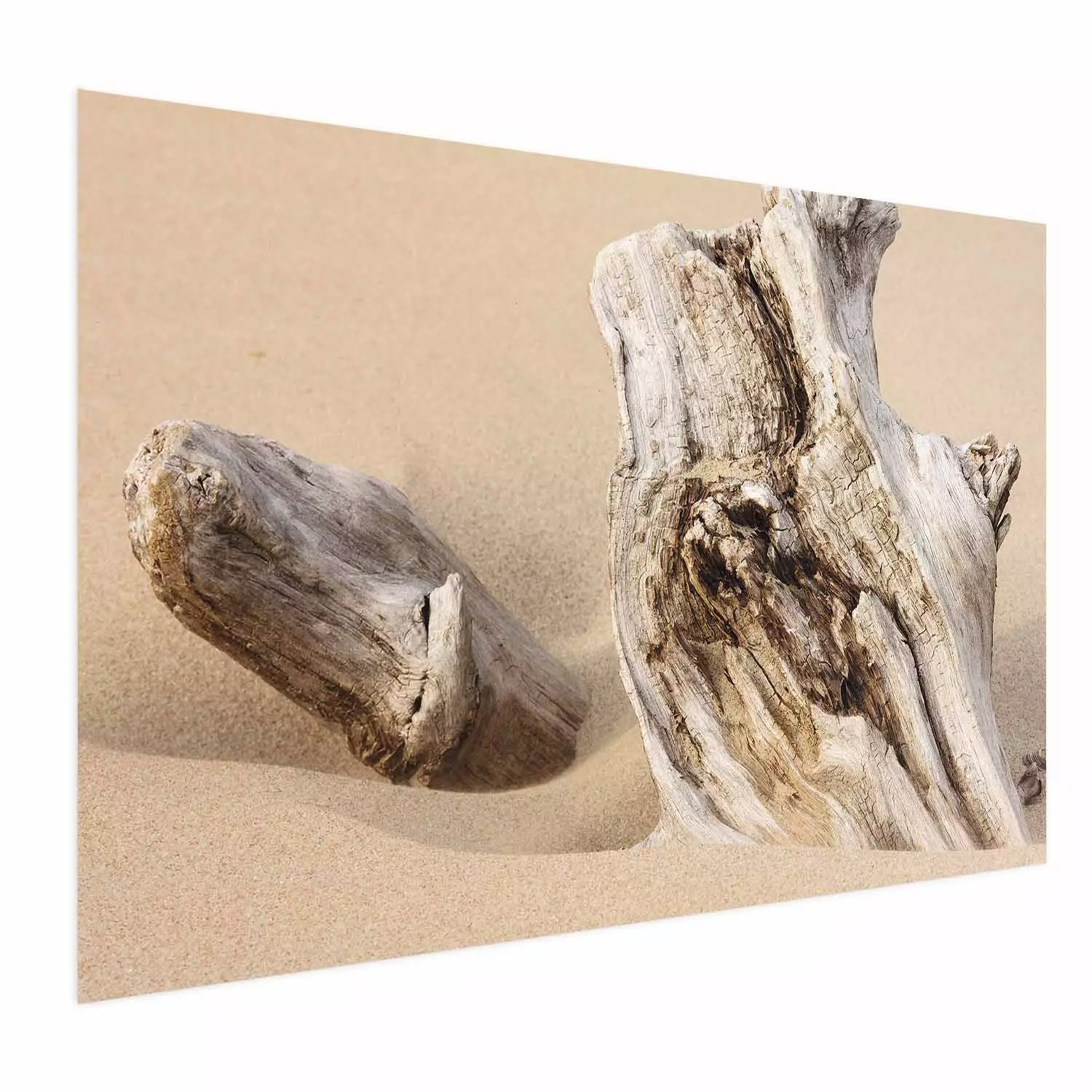Wall Poster Uncovered Past - beach landscape with a piece of brown wood