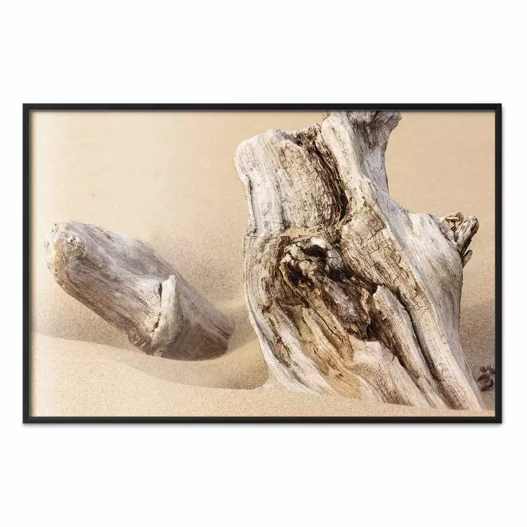 Uncovered Past - beach landscape with a piece of brown wood