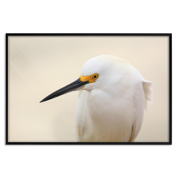 Poster Snowy Egret - bird with a black beak and yellow face on a light background