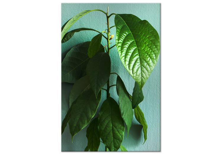 Canvas Avocado (1-piece) Vertical - landscape of green leaves of a houseplant