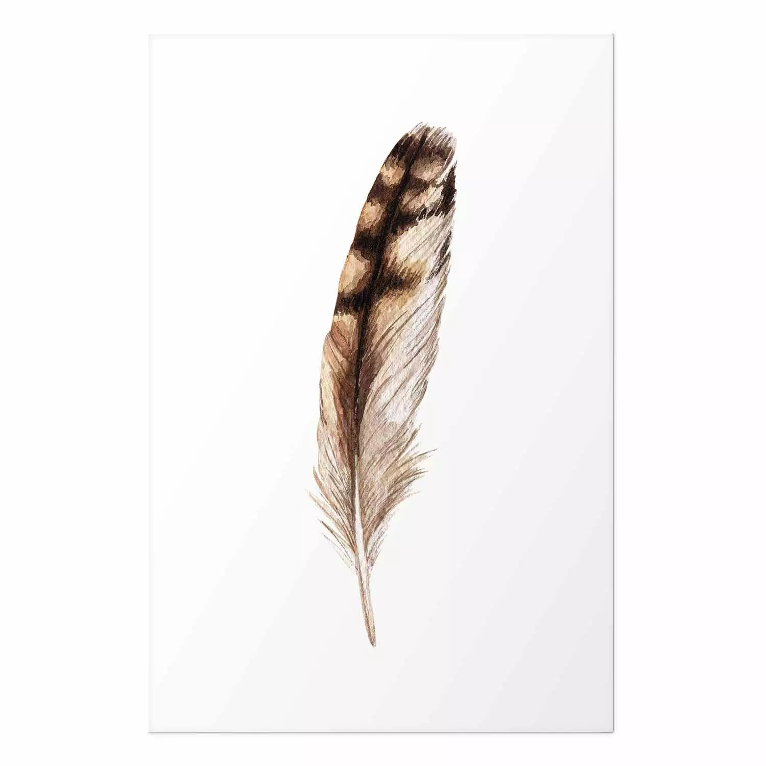 Wall Poster Magic Feather - brown bird feather on a contrasting white background