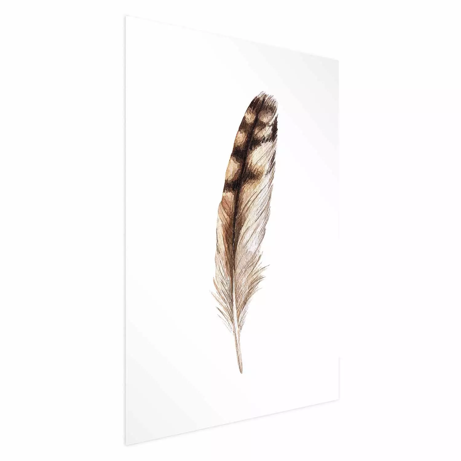 Wall Poster Magic Feather - brown bird feather on a contrasting white background