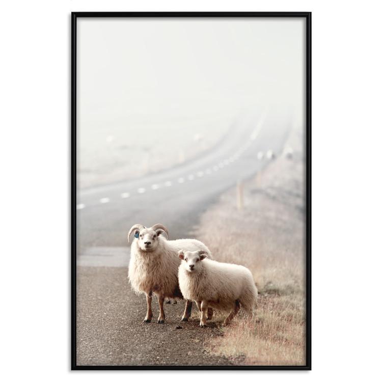 Poster Extraordinary Hitchhikers - landscape of animals by the road against a field