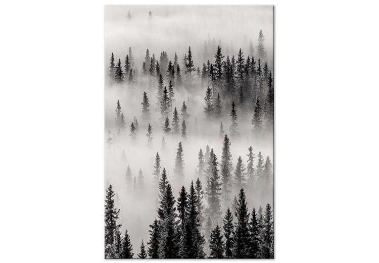 Canvas Nesting Ground (1-piece) Vertical - landscape of misty dark forest