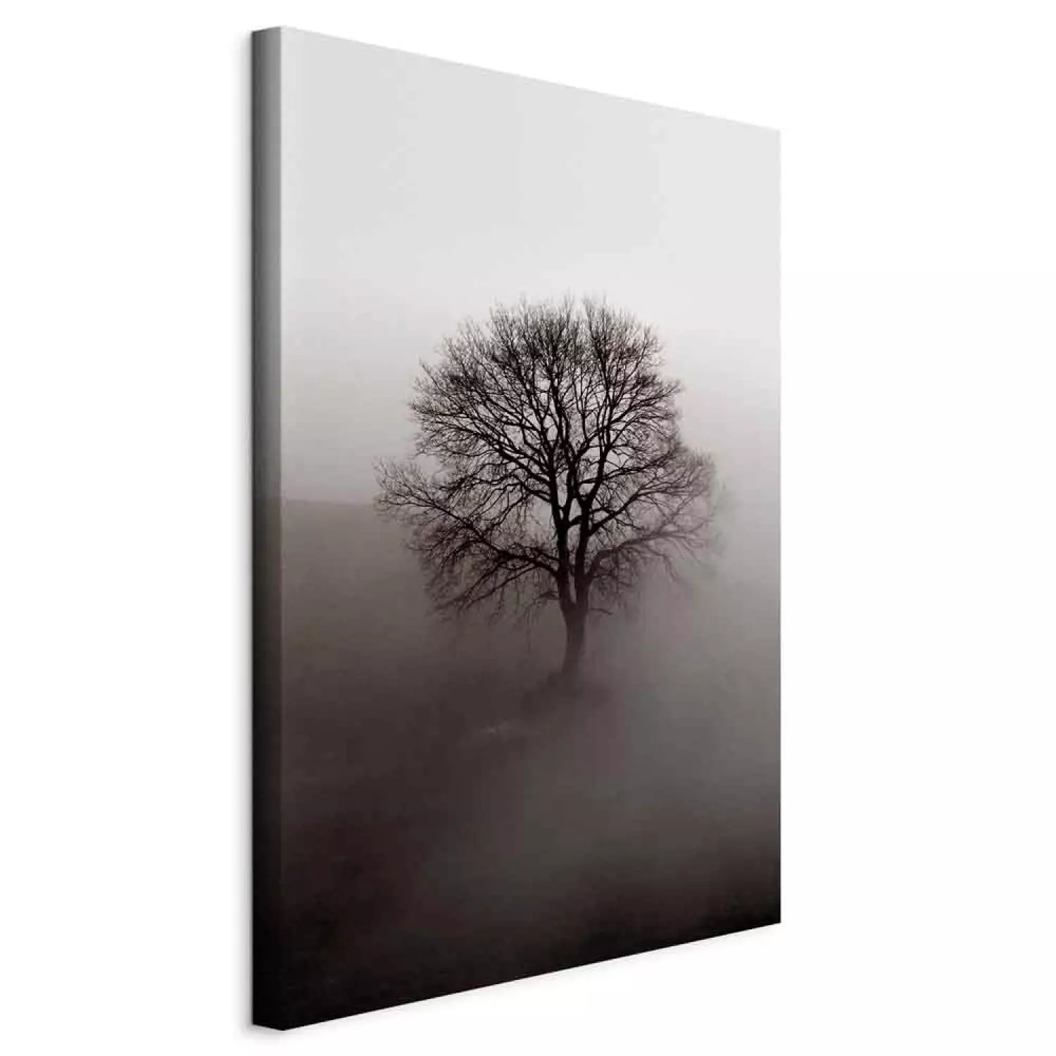 Canvas Dormant Power in the Tree Vertical - dark tree in the mist