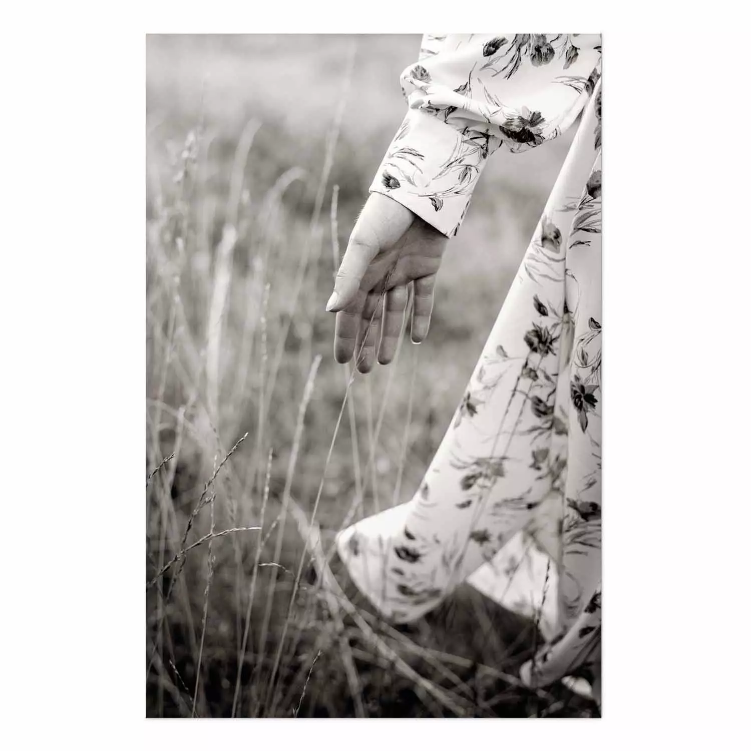 Poster In Touch with Nature - landscape of a woman's hand among plants in a meadow