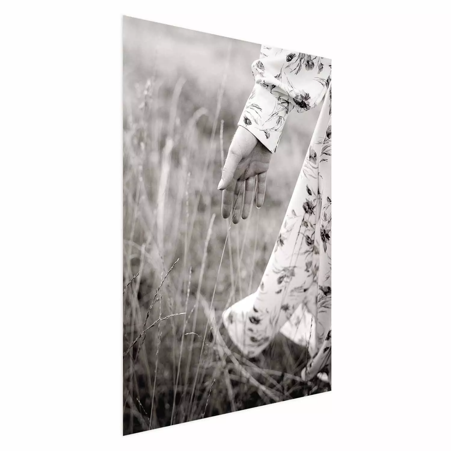 Poster In Touch with Nature - landscape of a woman's hand among plants in a meadow