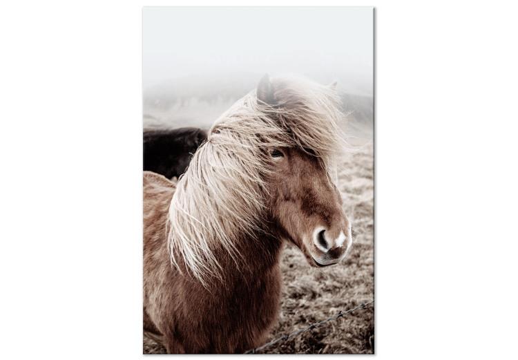 Canvas Against the Wind (1-piece) Vertical - horse in a portrait photograph
