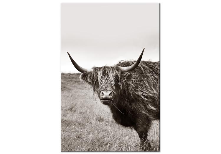 Canvas Ancient (1-piece) Vertical - gray photograph of a bull in a meadow