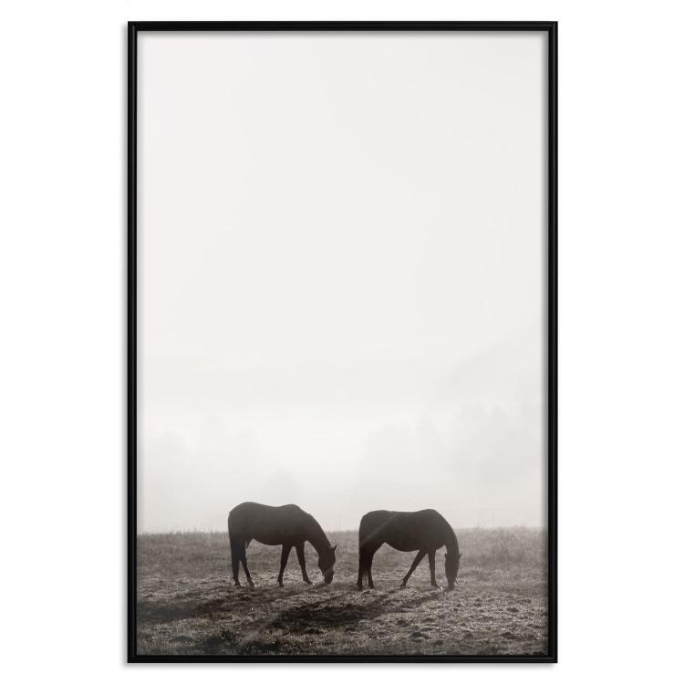Poster Morning Respite - landscape of horses in a field against bright sky